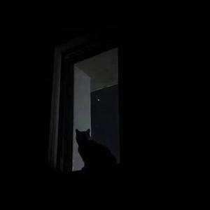 偏执型人格障碍