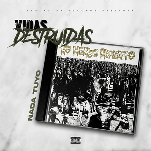 Vidas Destruidas