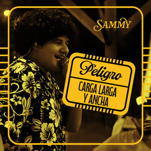 Peligro, Carga Larga Y Ancha