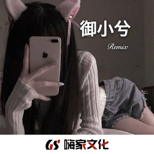 下雨天(DJ电摇版)