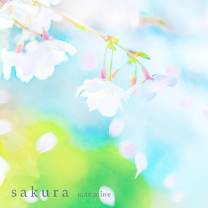 sakura