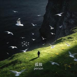 孤独Person