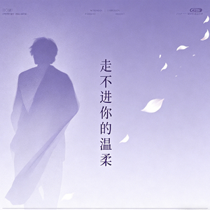 走不进你的温柔(是你没选我)