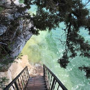 All I Wanna Do (2015)