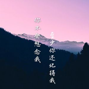 你不会想念我至少你还记得我