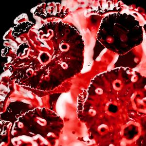 BLOOD FORGE