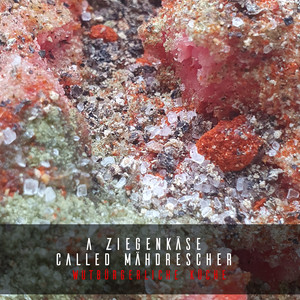 Wutbürgerliche Küche