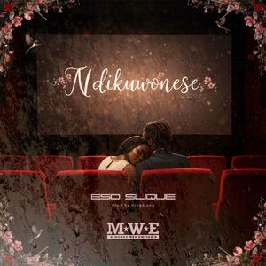 Ndikuwonese