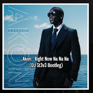 Mega Tracks Karaoke Band-Right Now Na Na Na（DJ St3v3 / Ak remix）
