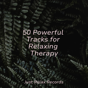 Uncharted Frenzy Rhapsody