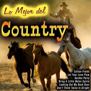 Looking out My Back Door