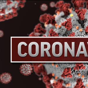 Corona Virus