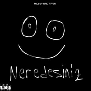 Neredesiniz