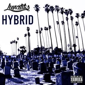 Hybrid