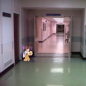 третий этаж