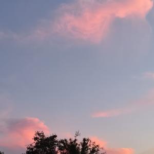 《远方烫愿》