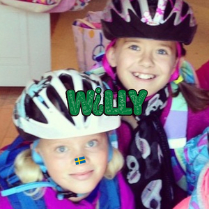 Willy (Hjemmesnekk)