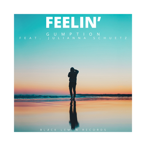 Feelin' (Feat. Julianna Schuetz)