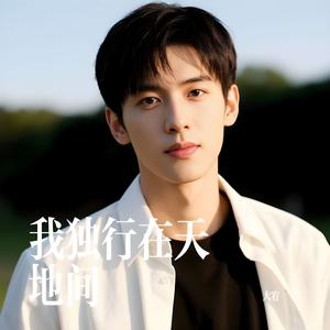 我独行在天地间