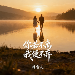 你若不离我便不弃