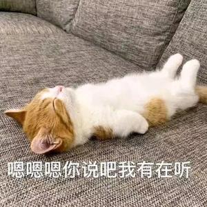 开心真giao