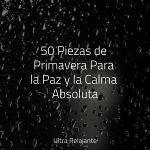 Calma Y Delicadeza