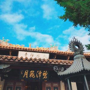 鲤city