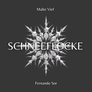 Schneeflocke