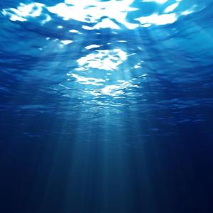 海底（翻自 一支榴莲）