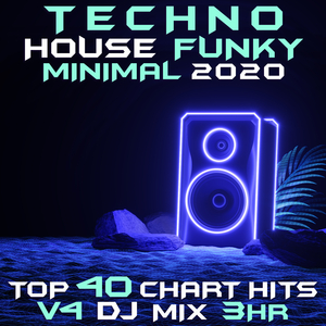 Novak (Techno House Funky Minimal 2020, Vol. 4 DJ Remixed)