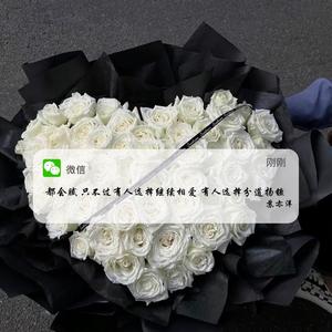 阿西阿索(苏亦洋)