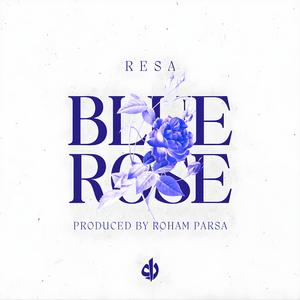 Blue Rose