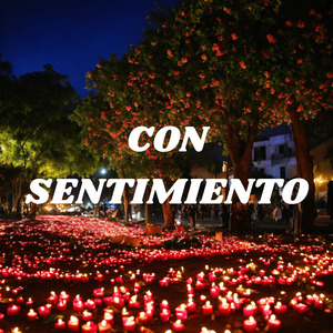 Con Sentimiento