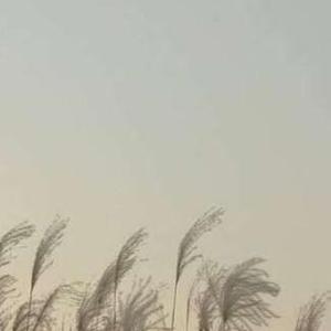 从未想过的四季