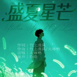 盛夏星芒 伴奏版