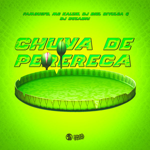 Chuva de Perereca