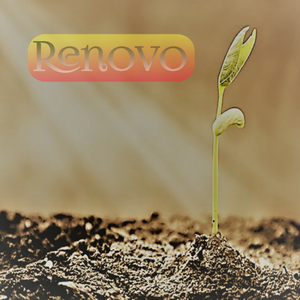 RENOVO