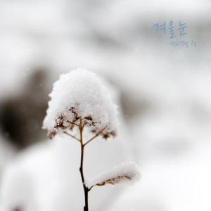 어떤 사이 (某种关系)