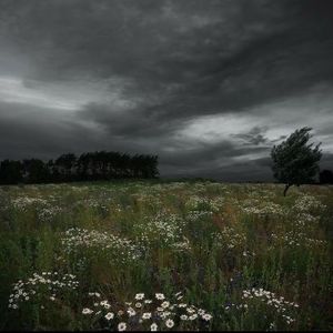 【Free】“lost”xSad Memphis Type Beat