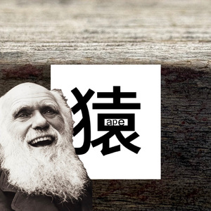 Ape猿