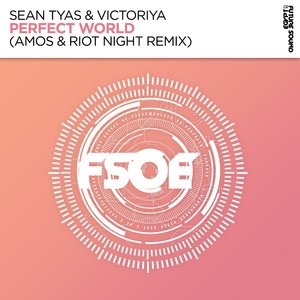 Perfect World (Amos & Riot Night Extended Remix)