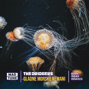 Mrdaj Guzicu (Born Ideas Remix) [feat. Euffrat]