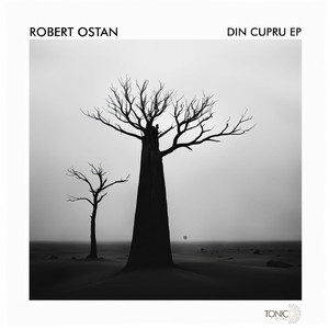Eucalypt (Original Mix)
