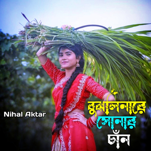 বুঝলিনারে সোনার চাঁন