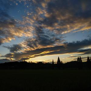 故乡的云（翻自 余笛）