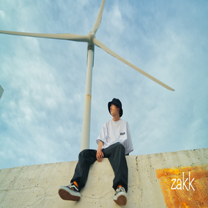 好きな様にやる