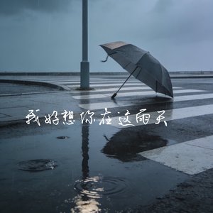 我好想你在这下雨天