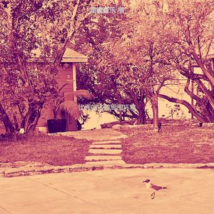 有趣开曼群岛情怀