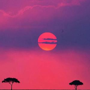 【free】情歌 type beat 日落的爱恋（已售断，请勿使用）