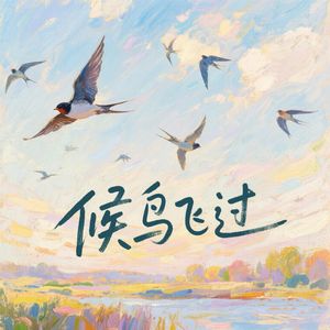 候鸟飞过（伴奏）